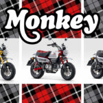 Honda Monkey 2023 : Les années 60 à l’honneur