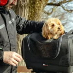 Givi Pet Bag T525 : Le Top-Case pour toutou