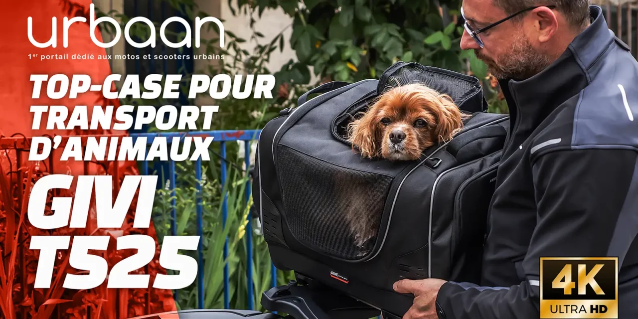 Prise en main Givi Pet Bag T525 : Transporter votre animal en toute sécurité