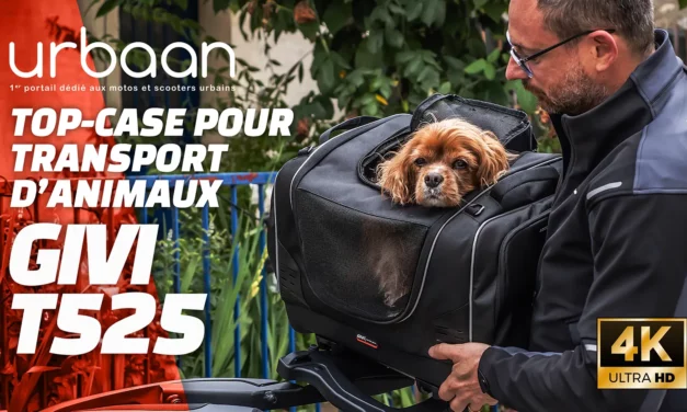 Prise en main Givi Pet Bag T525 : Transporter votre animal en toute sécurité